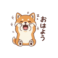 Shiba Inu puppy inumaru