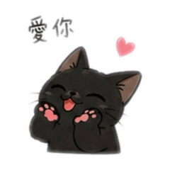 黑貓日常用語