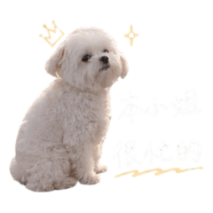 棉醬醬醬