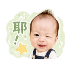 小馬哥生活日記