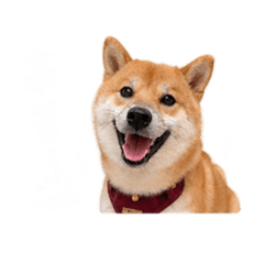 Winner 哈 貼圖