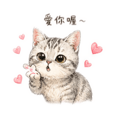 多多の日常用語