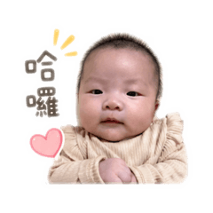 熊菲菲