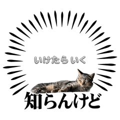 m_20260511220905