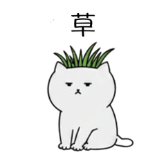 Glitchy Cat1