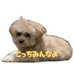mokeke_20260511221142