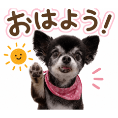 kurochaaaaaaaaaaaaaaaaaaaaaaaan