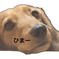 maki0128_20260512013050