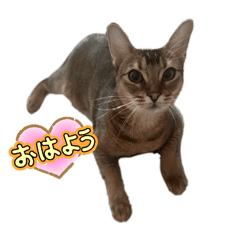 miko_20260512013504