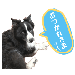 sosky_20260512014730