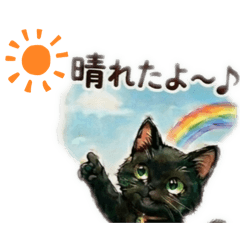 rirukai_20260512012041