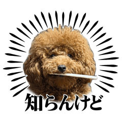 MASHU_20260512014020