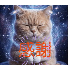 HappyhappyJoyjoy_20260512012849