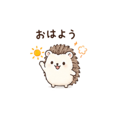 Hedgehog Cute Reactions