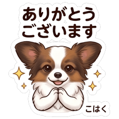Kohaku Playful Cute Dog Vol01