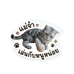 PJ&JoeyMai_20260428171521