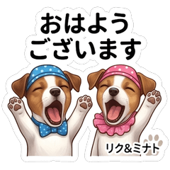 Original Fun Daily Stickers Vol01