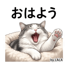 Lala Replies For You Vol01