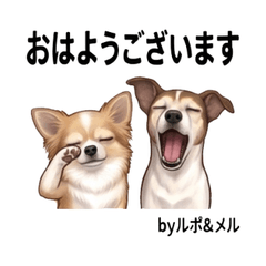Rupo and Mer Dog Stickers Vol01