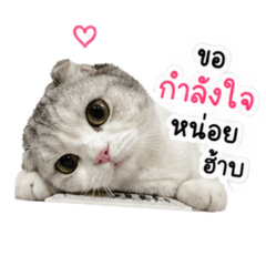 Moshi Mochi Model_20260428171427