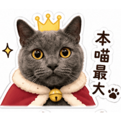 兩個圓滾滾貓