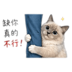寶寶錢-麻將篇1