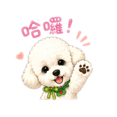 可愛的酷比狗go