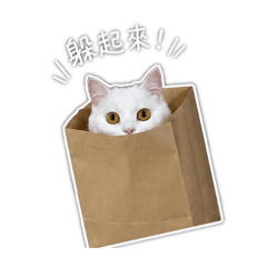 小憨寶包