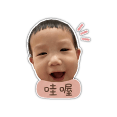 小酪梨諧音梗日常