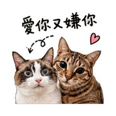 Bubu&阿鼻相愛相殺日常