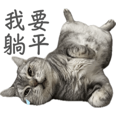 虎尼&啾比