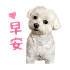 這是姆姆