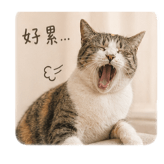 可愛小花2號