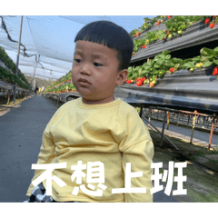 滈可愛！