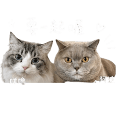 阿波&咩嚕