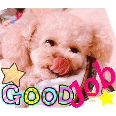Mochioba_20260515130310