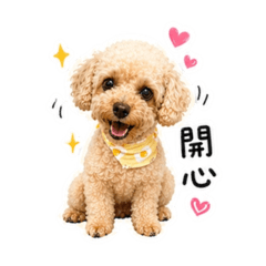 進擊a萌犬-毛毛日常