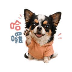 Q比寶貝-日常系列❤️