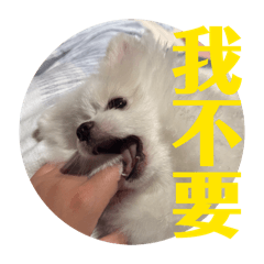 林泡泡愛爸爸