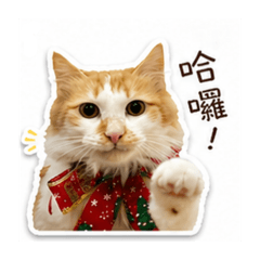 胖胖表情包