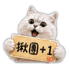 寶貝小貓咪（團購篇）
