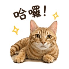 地瓜嘎嘎嘎
