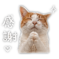 四寶包