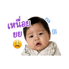 Yingjomza_20260428171804