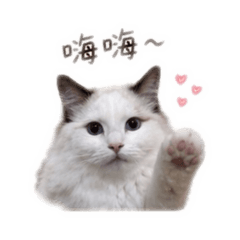 潘家大四喜