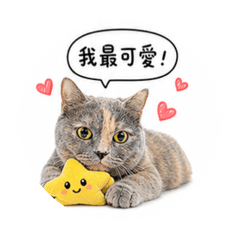 栗子QQ蛋の日常