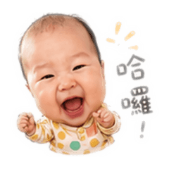 儀の面