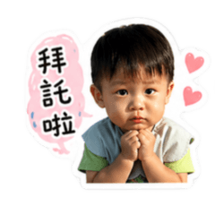 胖瑞日常