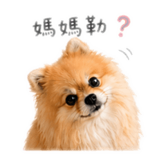 添添不是天天2