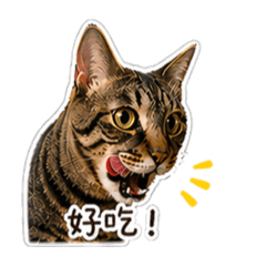 五吉八
